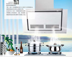 皮阿諾愛奇屋中式側(cè)吸油煙機(jī) 廚房電器的精致之選